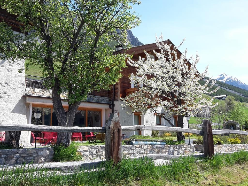 איזולצ'יה Agriturismo Raethia מראה חיצוני תמונה