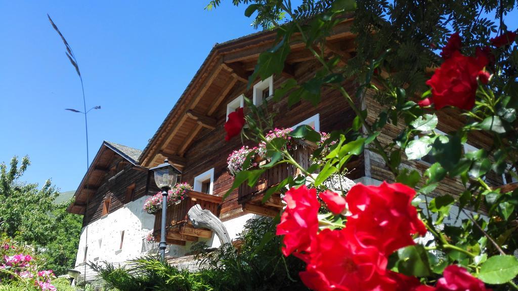 איזולצ'יה Agriturismo Raethia מראה חיצוני תמונה